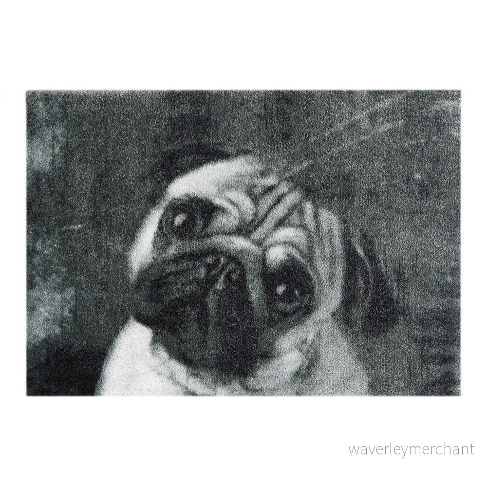 Šedá rohožka Hanse Home StateMat Dog, 50 x 75 cm v:865600