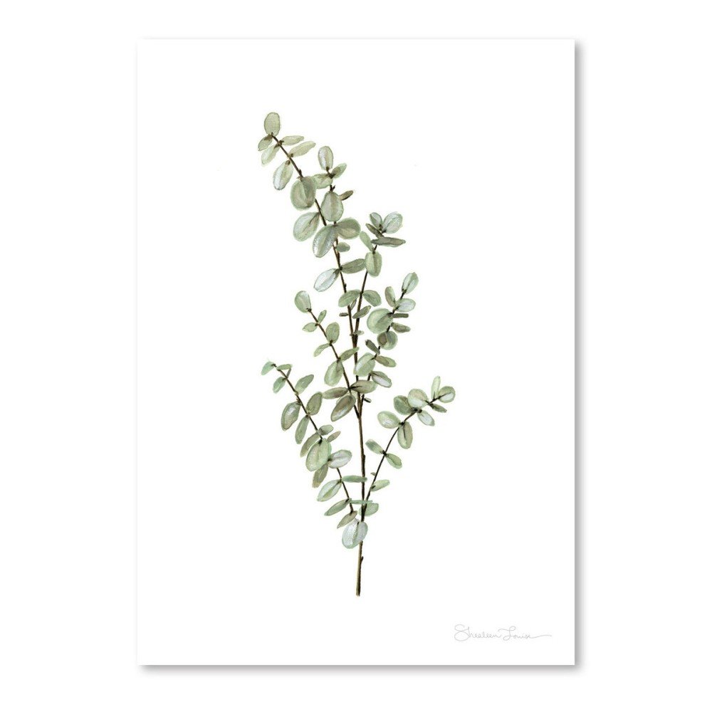 Plakát Americanflat Baby Blue Eucalyptus by Shealeen Louise, 30 x 42 cm v:1120568