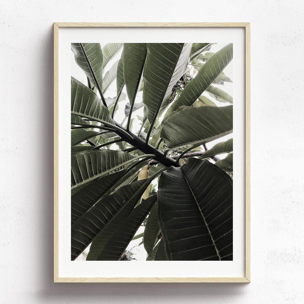 Obraz v dřevěném rámu HF Living Fasnia, 30 x 40 cm v:968500