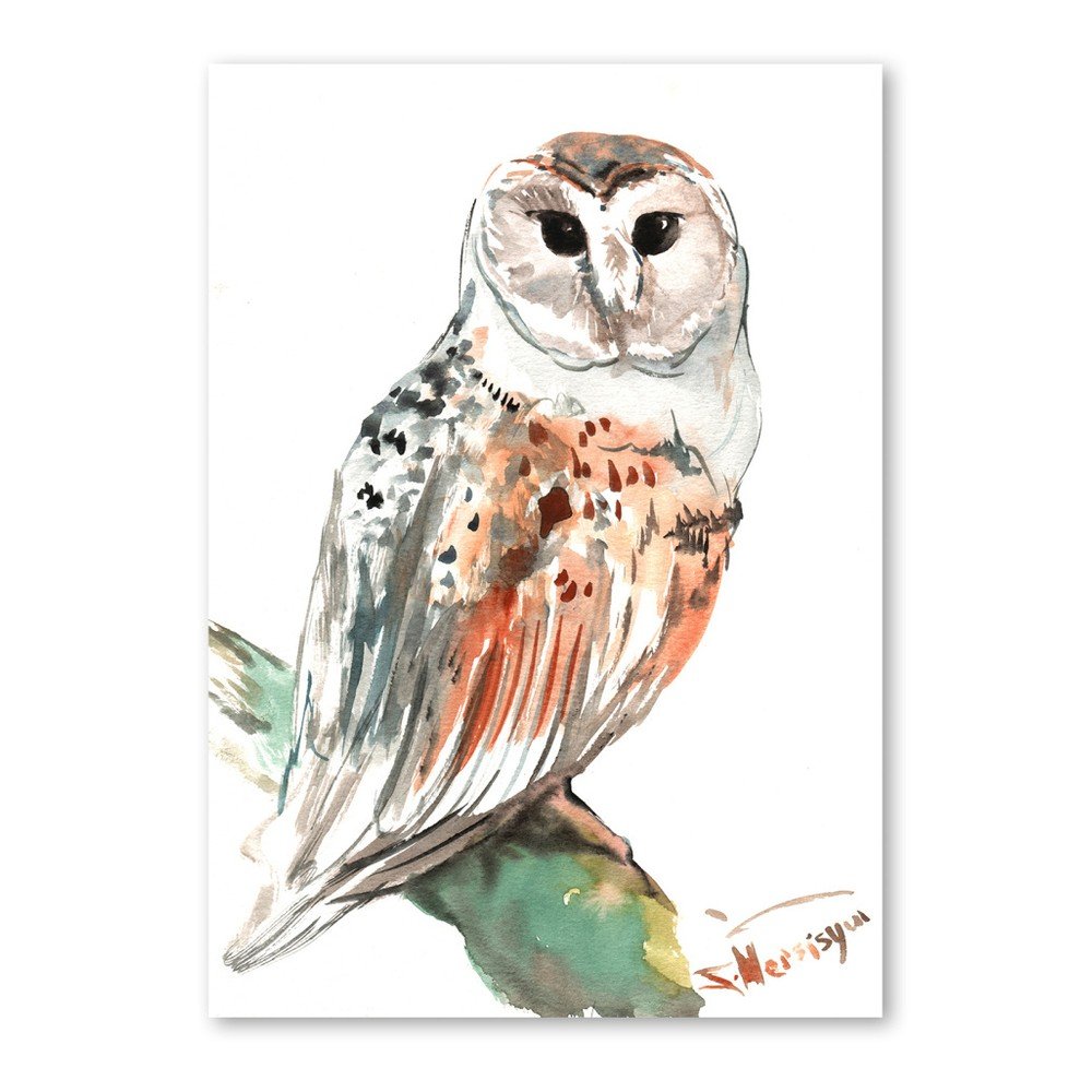 Autorský plakát Owl od Surena Nersisyana, 60 x 42 cm v:758424