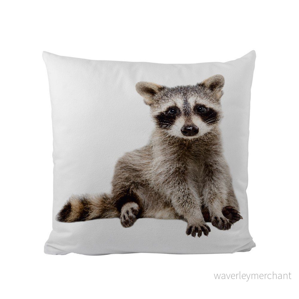 Polštářek Butter Kings Cute Raccoon v:822808