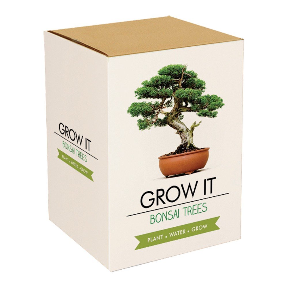 Pěstitelský set se semínky bonsaje Gift Republic Bonsai Trees v:854890