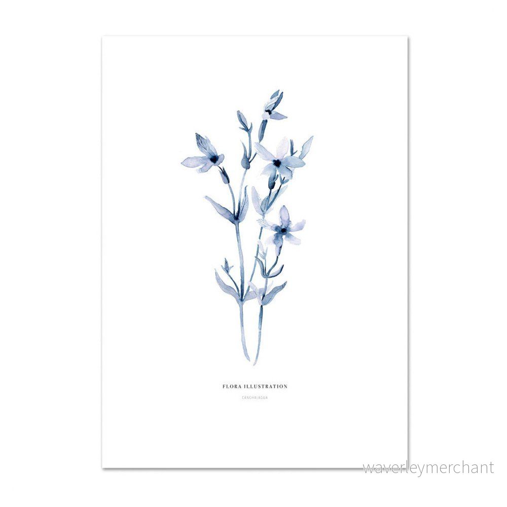 Plakát Leo La Douce Canchalagua, 42 x 59,4 cm v:828582