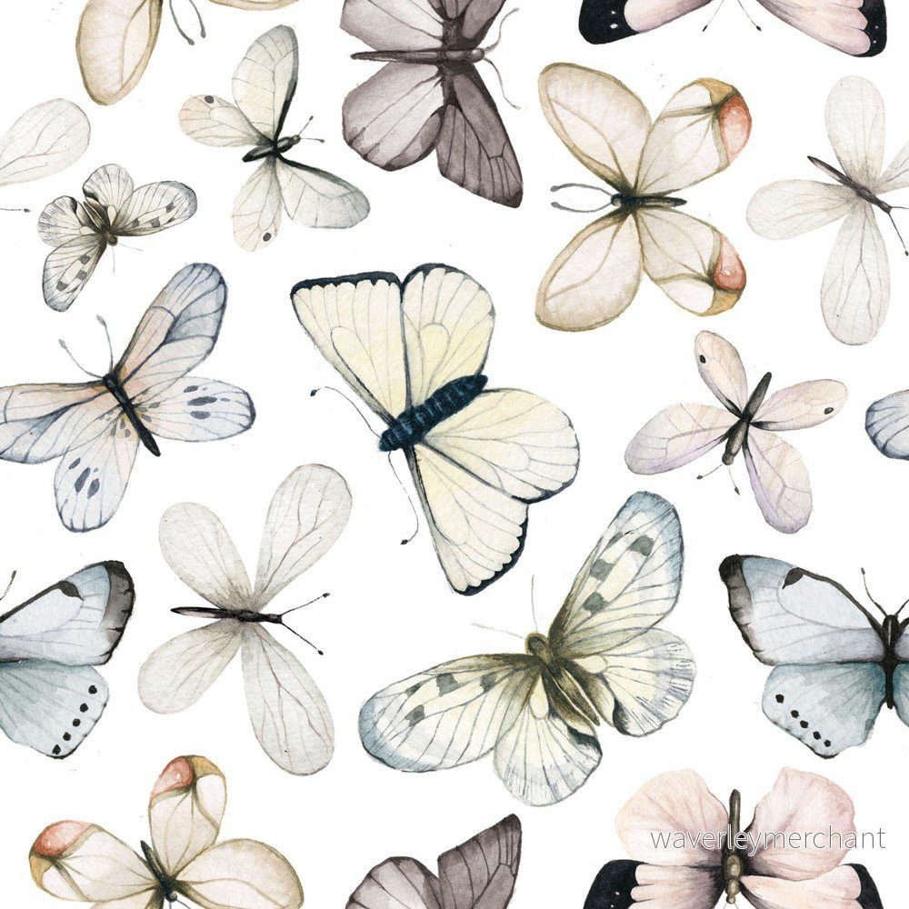 Nástěnná tapeta s motivem motýlů Dekornik Butterflies v:1319784