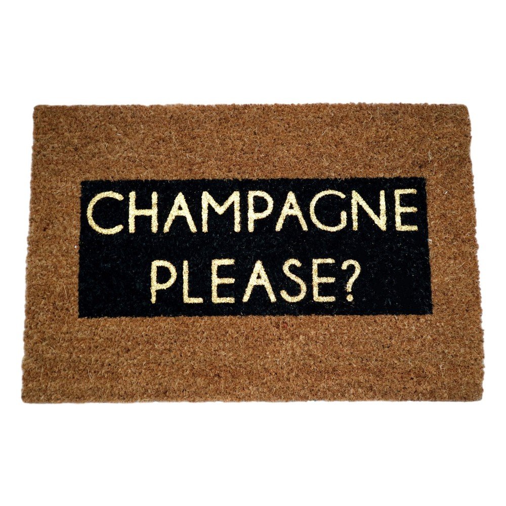 Rohožka z přírodního kokosového vlákna Artsy Doormats Champagne Glitter, 40 x 60 cm v:1235766