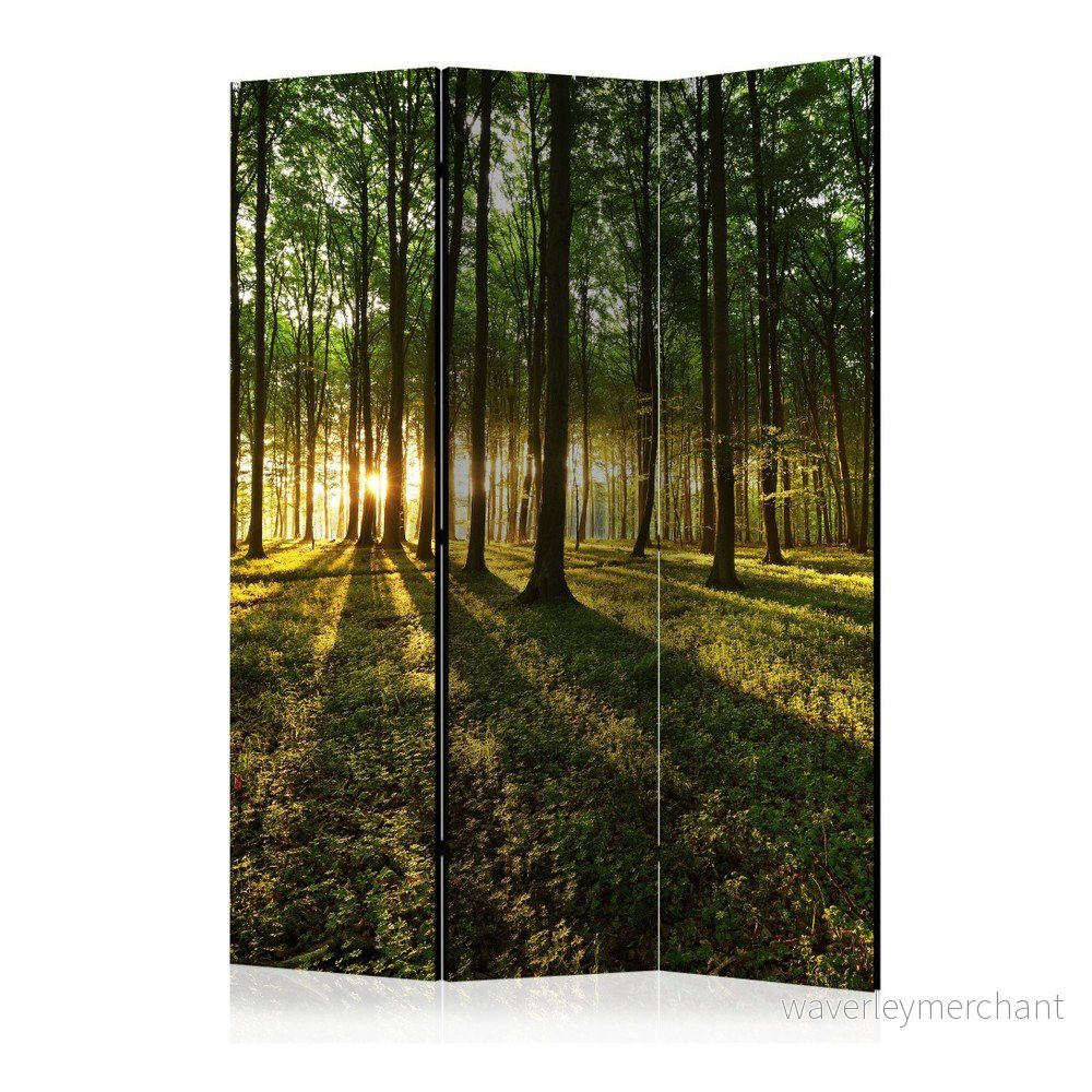 Paraván Artgeist Morning Forest, 135 x 172 cm v:1050610