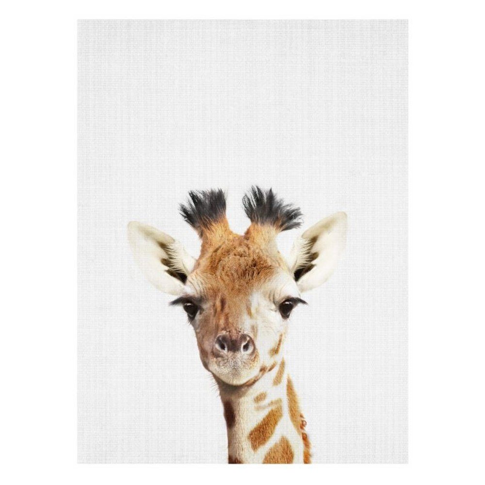 Plakát Blue-Shaker Baby Animals Giraffe, 30 x 40 cm v:1322334