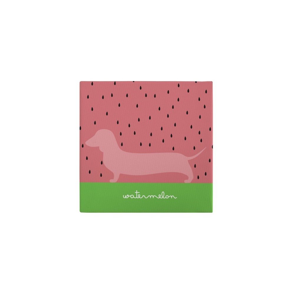 Nástěnný obraz Pooch Watermelon, 27 x 27 cm v:1120970