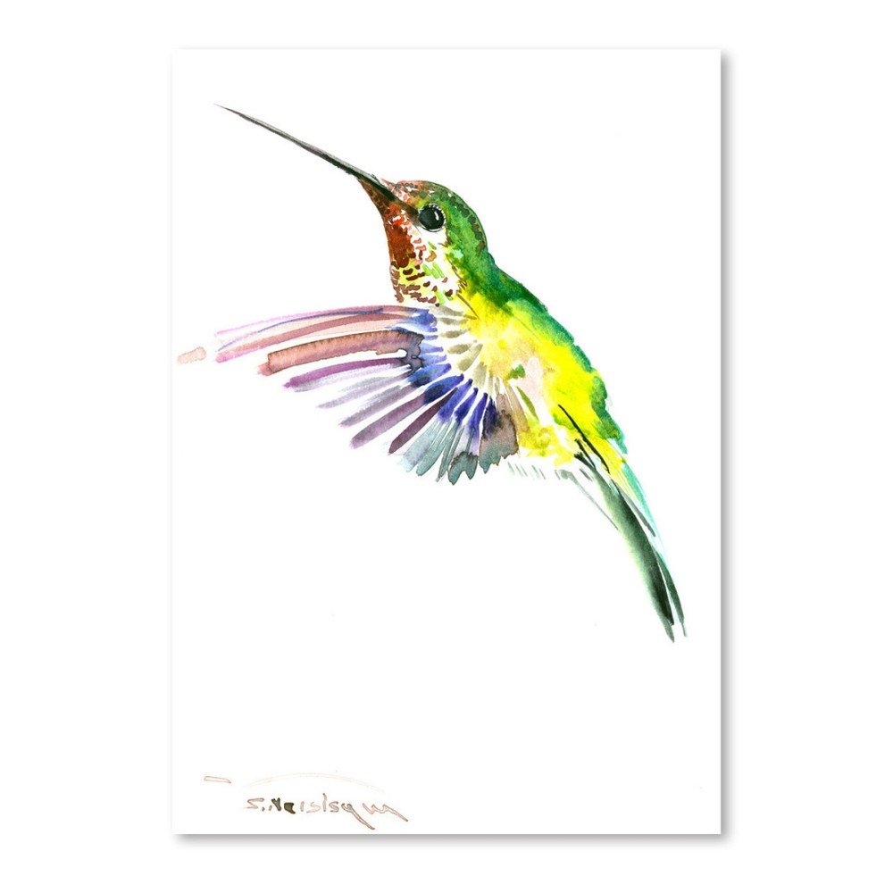 Autorský plakát Flying Hummingbird od Surena Nersisyana, 60 x 42 cm v:758668