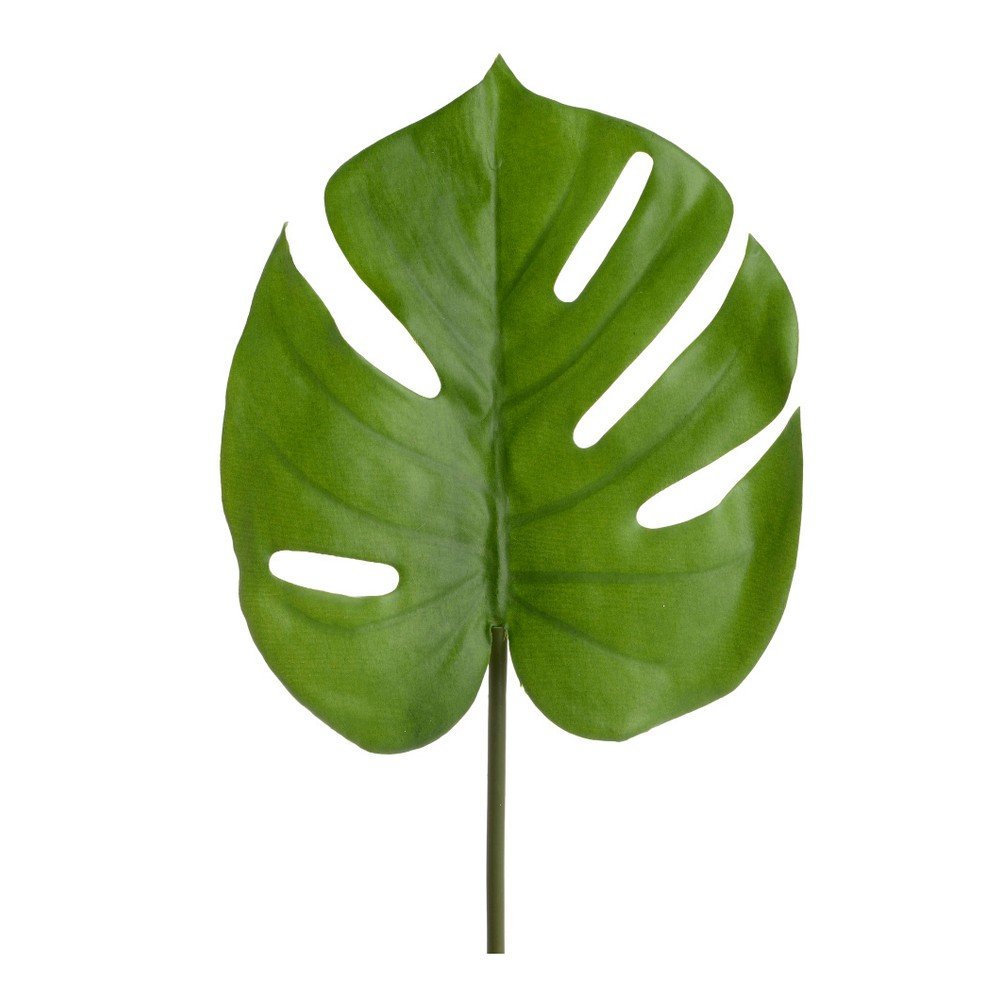 Dekorativní list InArt Boho Ficus v:787004