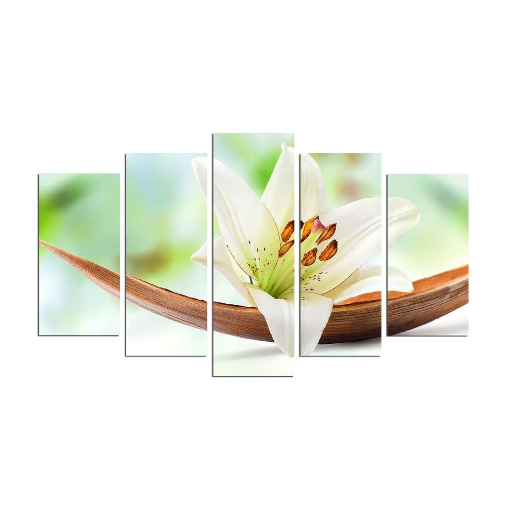 Vícedílný nástěnný obraz Green Lily v:1204354