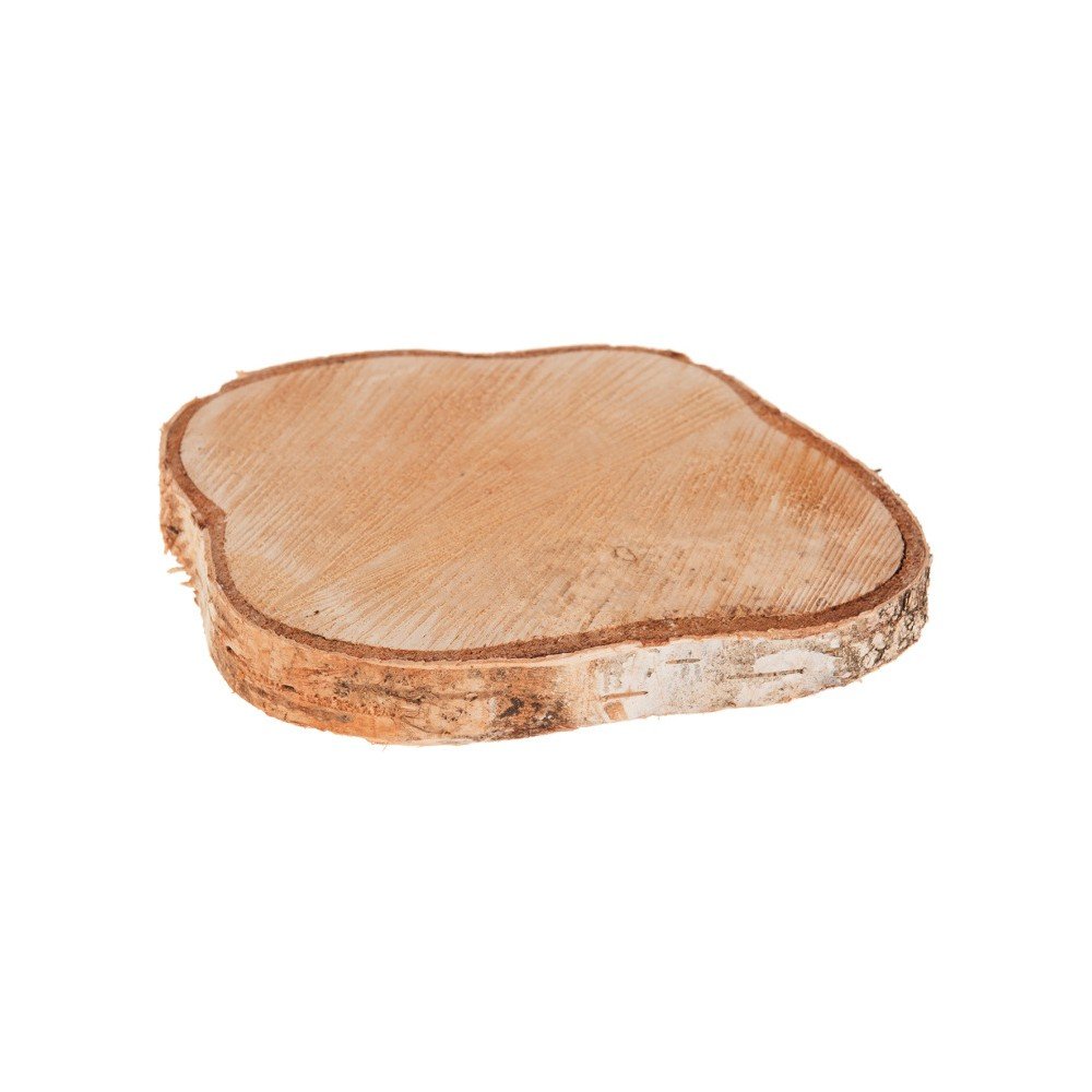 Dekorace Dijk Natural Collections Birch Slice v:734496