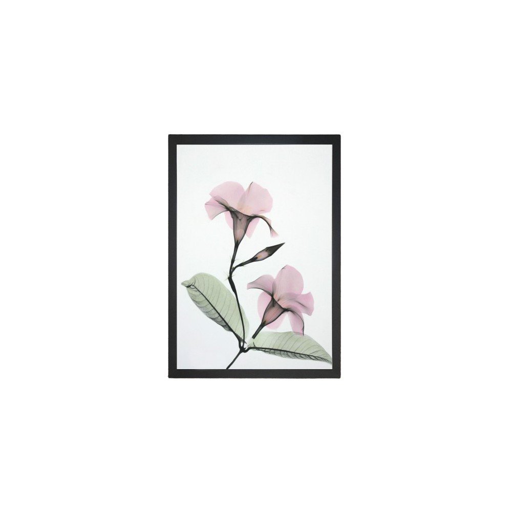 Obraz 24x29 cm Green Branch – Vavien Artwork v:1240916