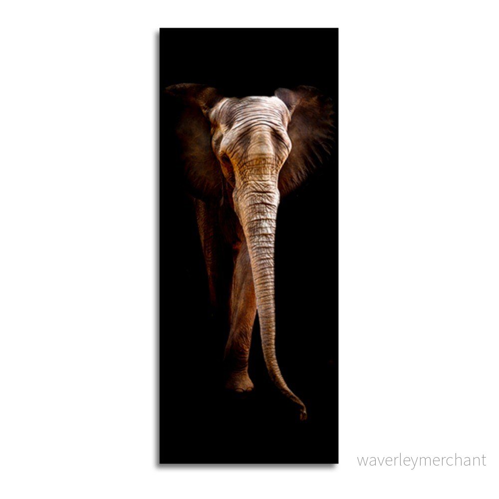 Obraz Styler Elephant, 125 x 50 cm v:1299146