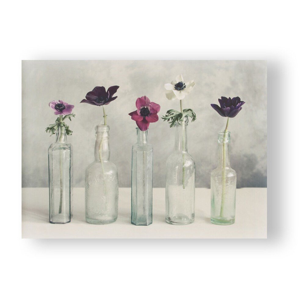 Obraz Graham & Brown Floral Row, 70 x 50 cm v:744922