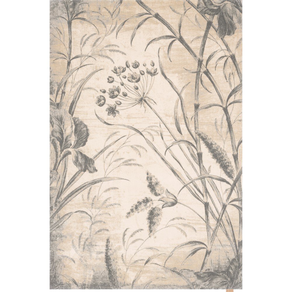 Krémový vlněný koberec 240x340 cm Botany – Agnella v:1638634