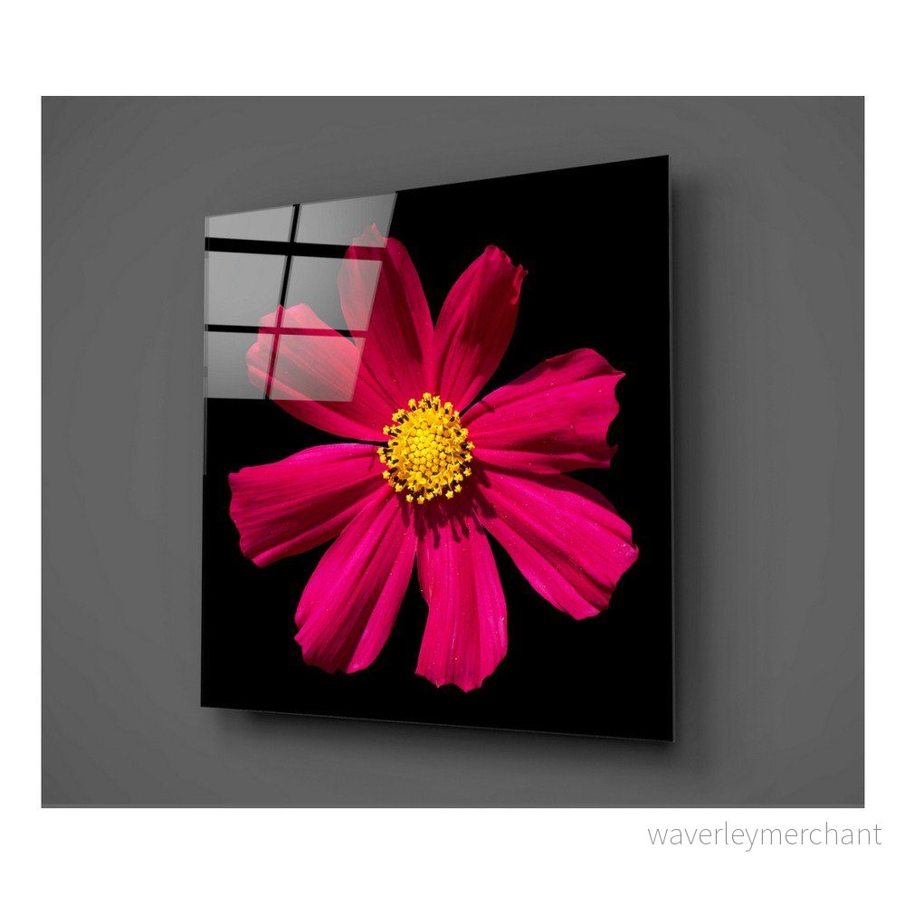 Černo-červený skleněný obraz Insigne Flowerina, 30 x 30 cm v:1210176