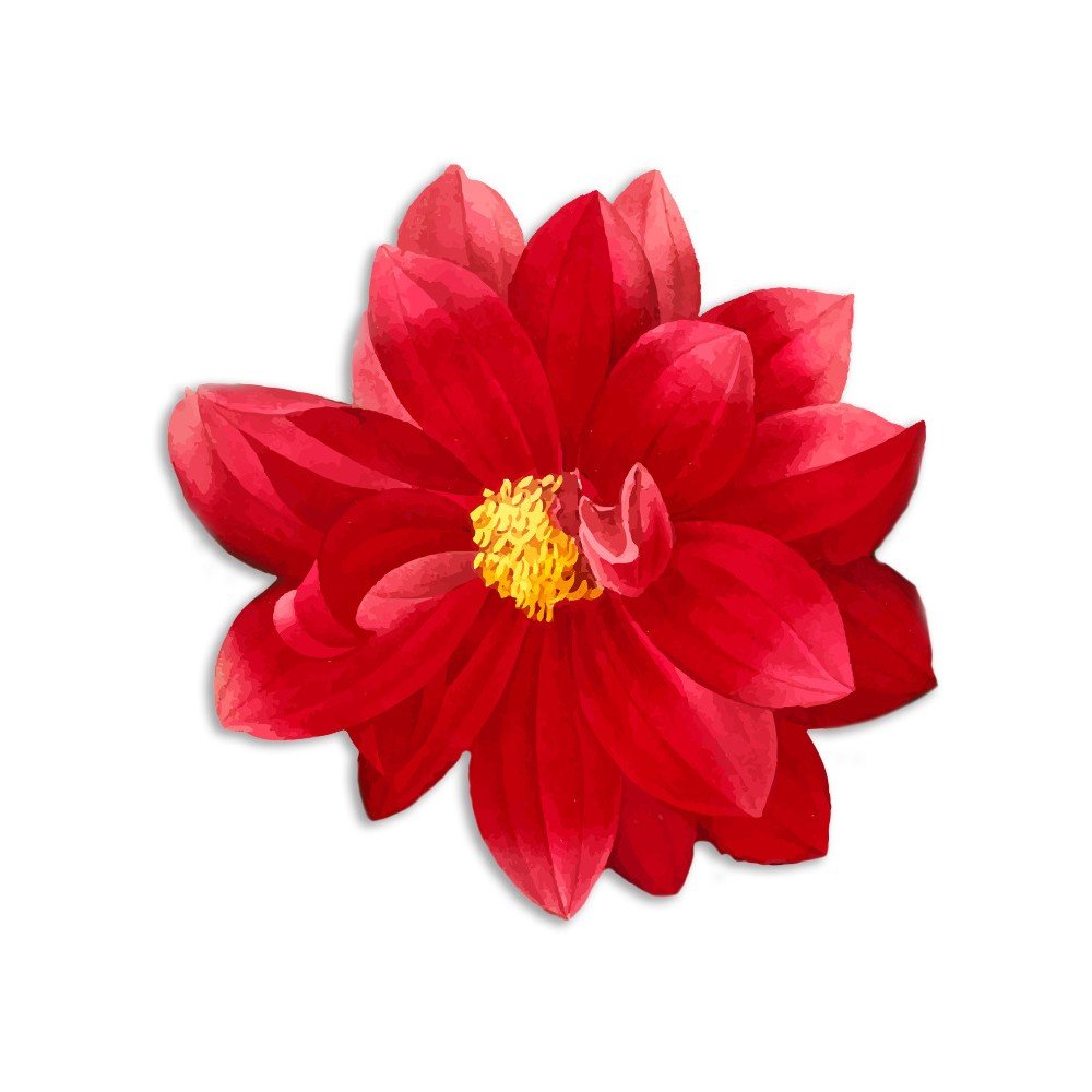 Dekorativní prostírání z jutových vláken Madre Selva Red Flower v:1274298