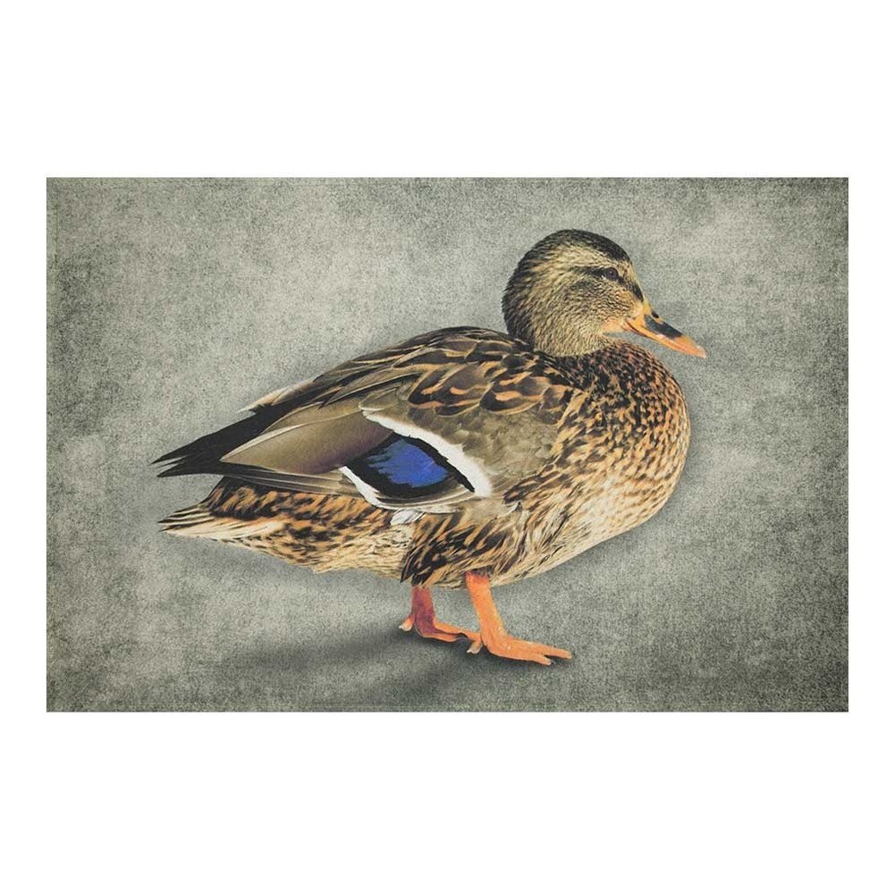 Předložka Mars&More Duck Female, 75 x 50 cm v:772296