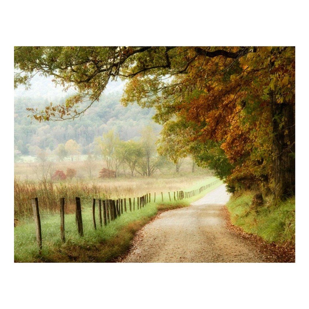 Obraz DecoMalta Autumn, 80 x 60 cm v:819326