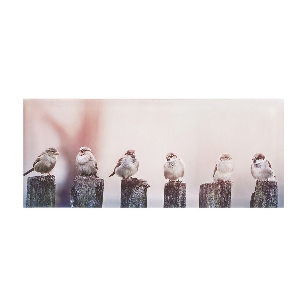 Obraz Graham & Brown Morning Tweets, 100 x 40 cm v:787416