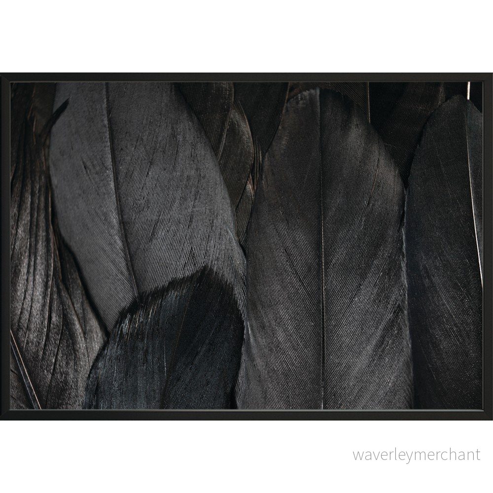 Plakát DecoKing Feathers Black, 50 x 40 cm v:1279596