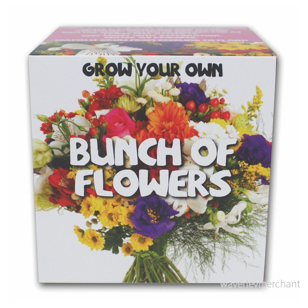 Pěstitelský set se semínky divokých a voňavých květin Gift Republic Bunch Of Flowers v:854884