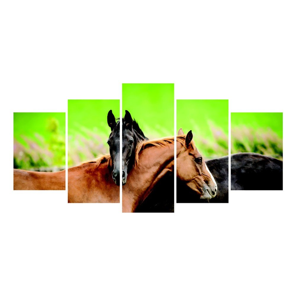 Vícedílný obraz La Maison Des Couleurs Horses v:809426