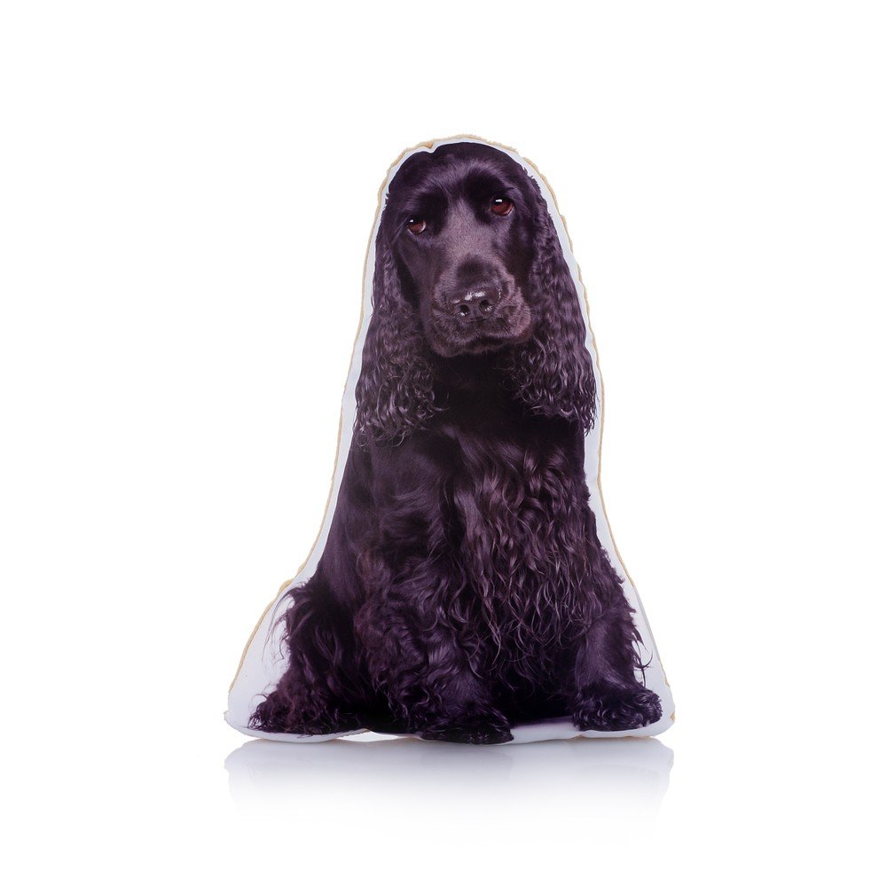 Polštářek s potiskem Kokršpaněla Adorable Cushions Midi Black Cocker Spaniel v:1321160