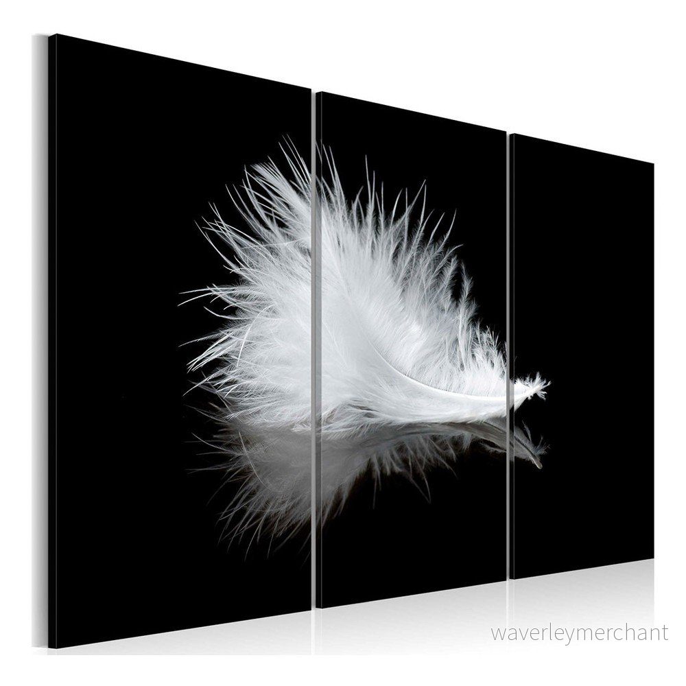 Vícedílný obraz na plátně Artgeist Feather, 60 x 40 cm v:971716