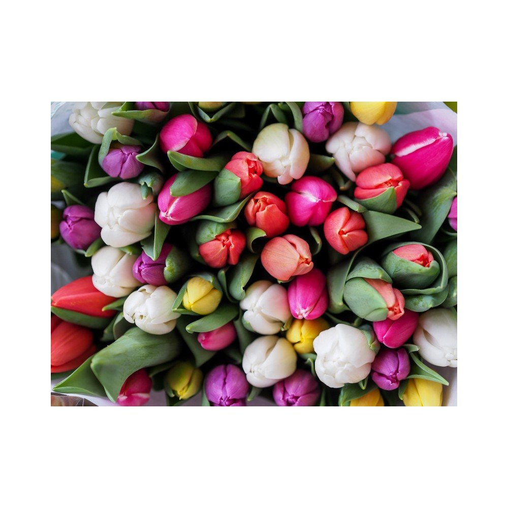 Víceúčelová podložka Papillon Tulips v:890334