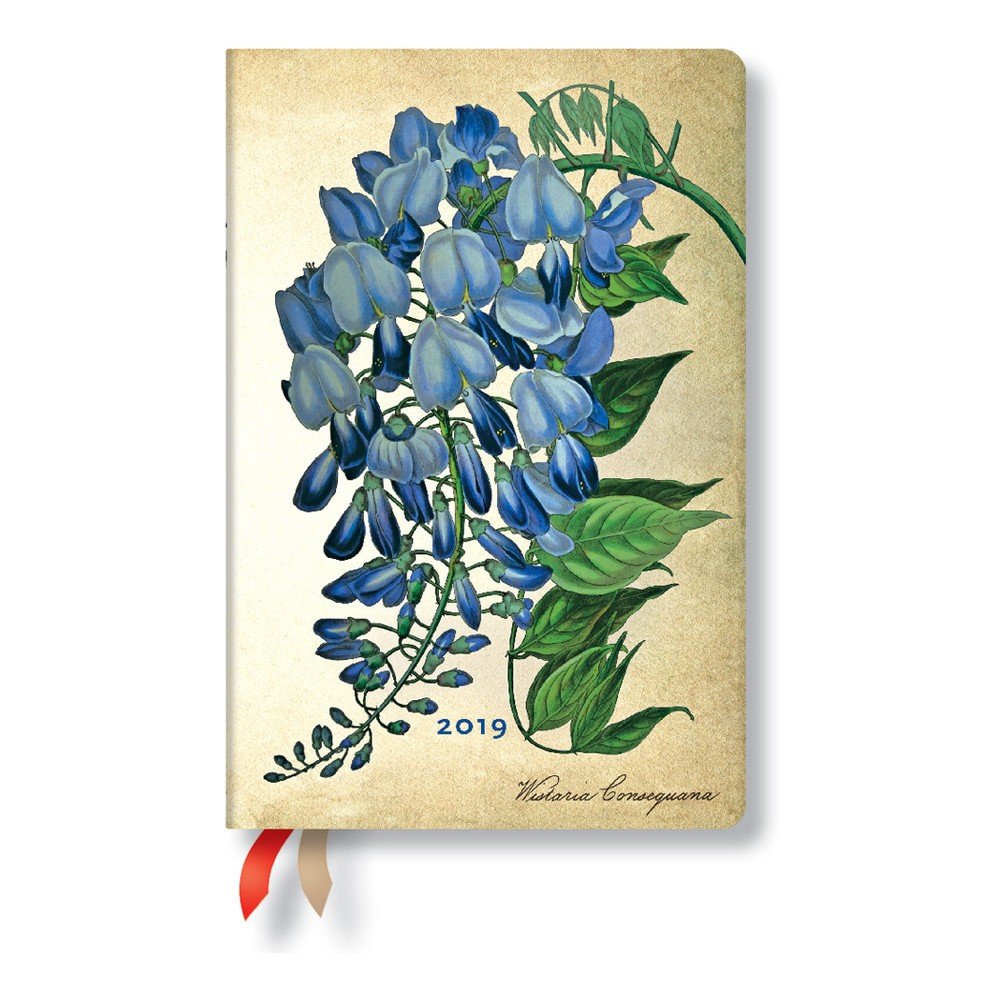 Diář na rok 2019 Paperblanks Blooming Wisteria Verso, 9,5 x 14 cm v:1136000