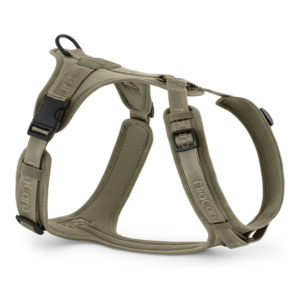 Zelený postroj velikost L délka 42 cm Modena Grolive L – MiaCara v:1675818 Zelený postroj velikost L délka 42 cm Modena Grolive L – MiaCara v:1675818