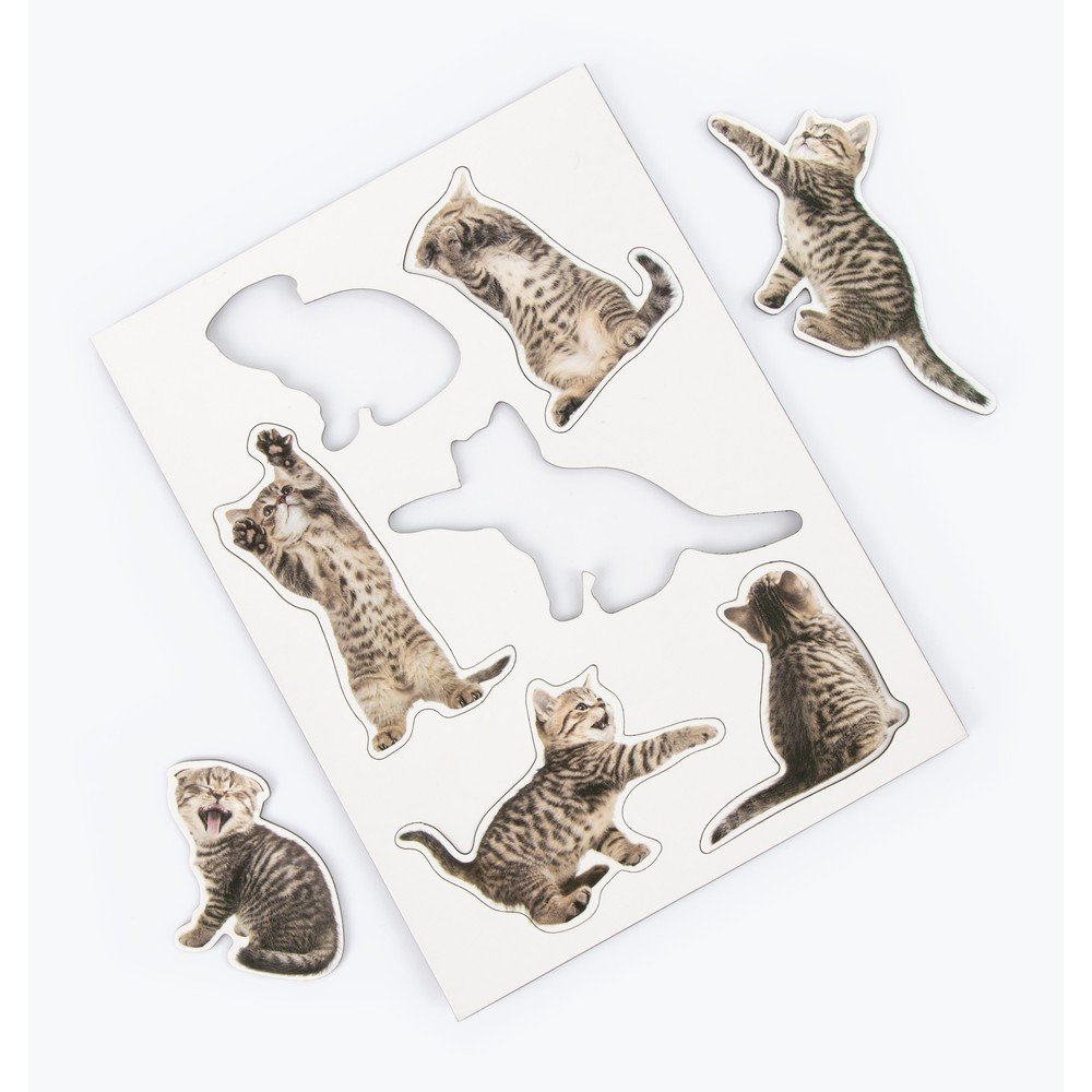 Sada 5 magnetek Just Mustard Action Cat v:1338943